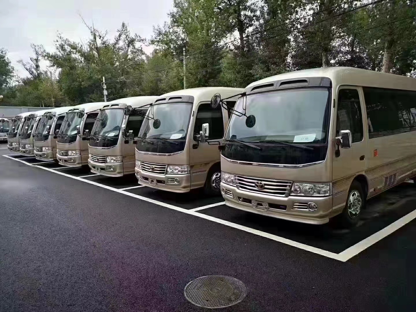 19座中巴车